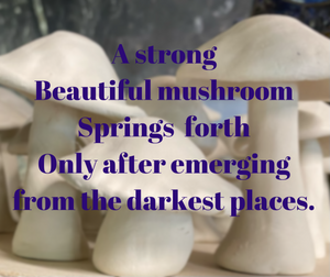 Hand Made Ceramic Stoneware Mushroom Mushrooms Cottage Core Fairy Garden Fungi Pink Blue Green