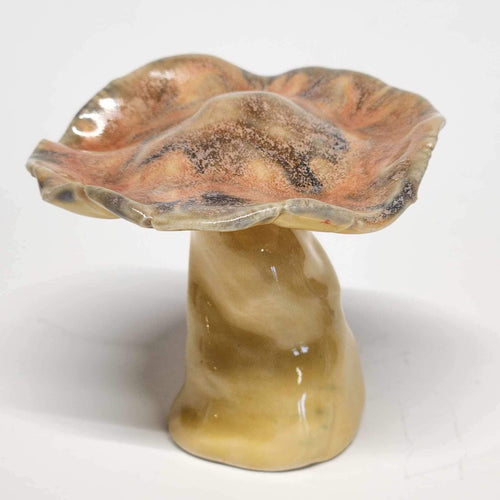 Hand Made Ceramic Stoneware Mushroom Mushrooms Cottage Core Fairy Garden Fungi Salmon Yellow Beige Blue