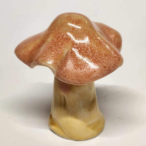 Hand Made Ceramic Stoneware Mushroom Mushrooms Cottage Core Fairy Garden Fungi Salmon Yellow