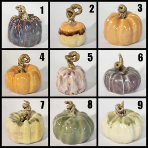 Hand Made Medium Ceramic Pottery Pumpkin Fall Decor Decoration Various Colors to Choose From