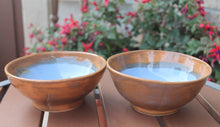 Load image into Gallery viewer, 2 Wheel Thrown Stoneware Small Dip Ice Cream Bowls Brown Blue Botanical OOAK