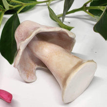 Load image into Gallery viewer, Hand Made Ceramic Stoneware Mushroom Mushrooms Cottage Core Fairy Garden Fungi Cream Pink