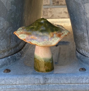 Hand Made Ceramic Stoneware Mushroom Mushrooms Cottage Core Fairy Garden Fungi Green Gold Orange Cream Blue