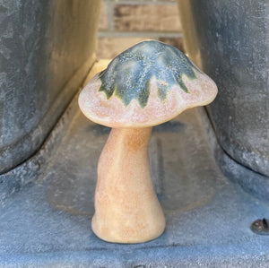 Hand Made Ceramic Stoneware Mushroom Mushrooms Cottage Core Fairy Garden Fungi Pink Blue Green